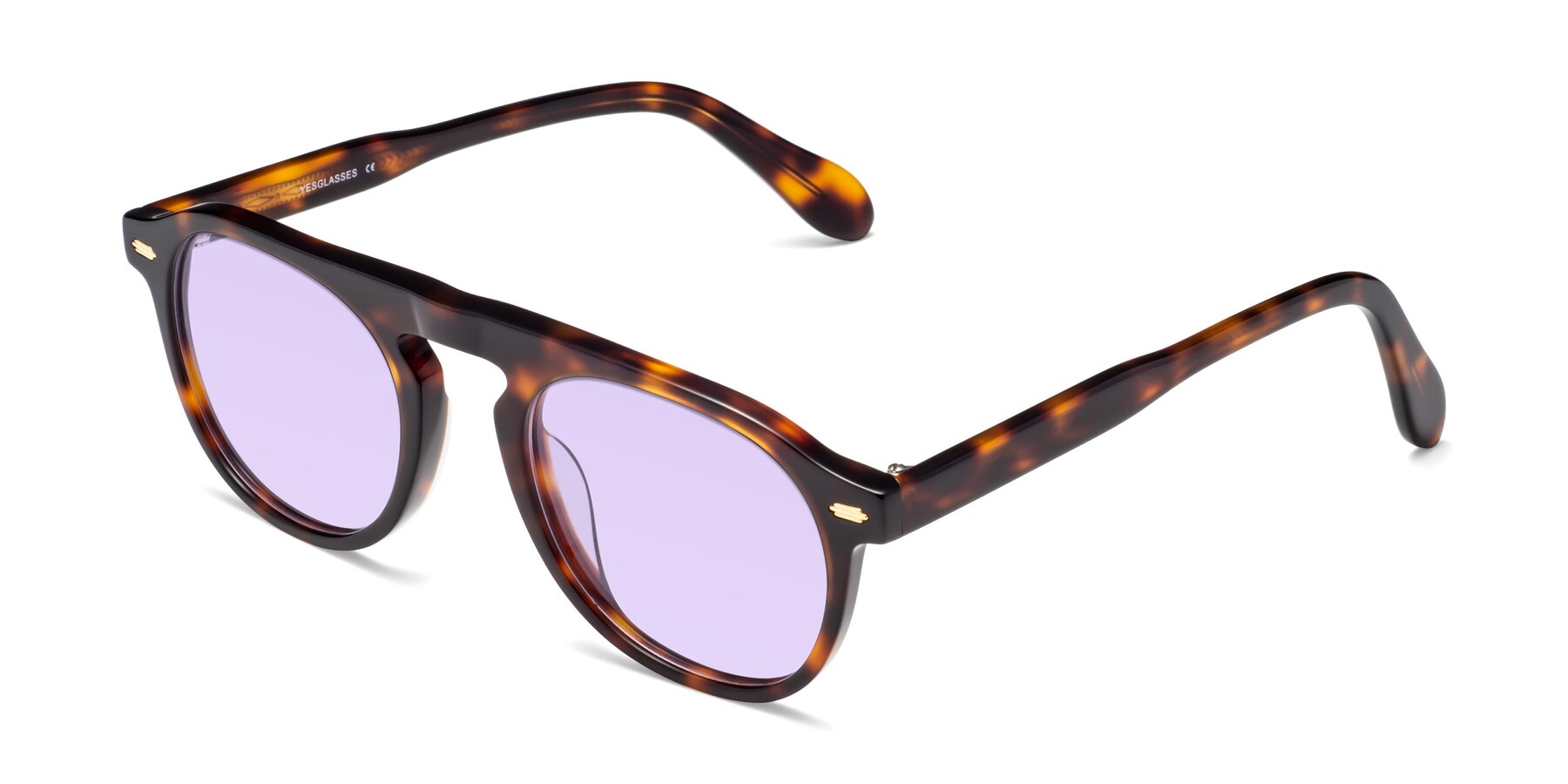 Angle of Mufasa in Tortoise with Light Purple Tinted Lenses
