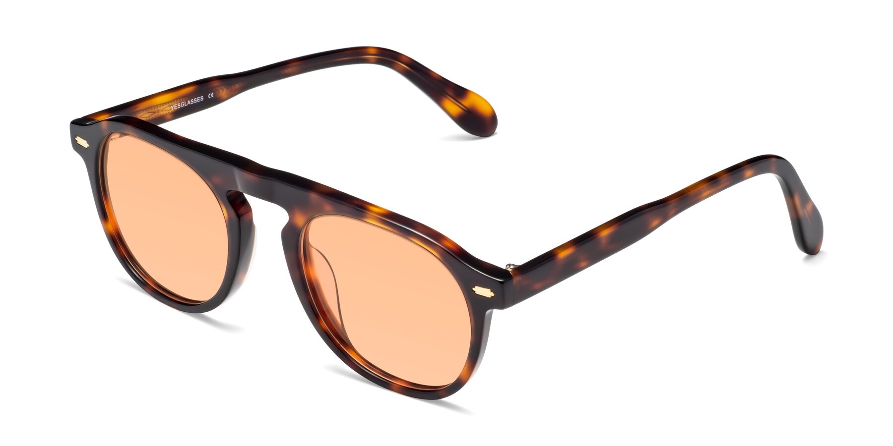 Angle of Mufasa in Tortoise with Light Orange Tinted Lenses