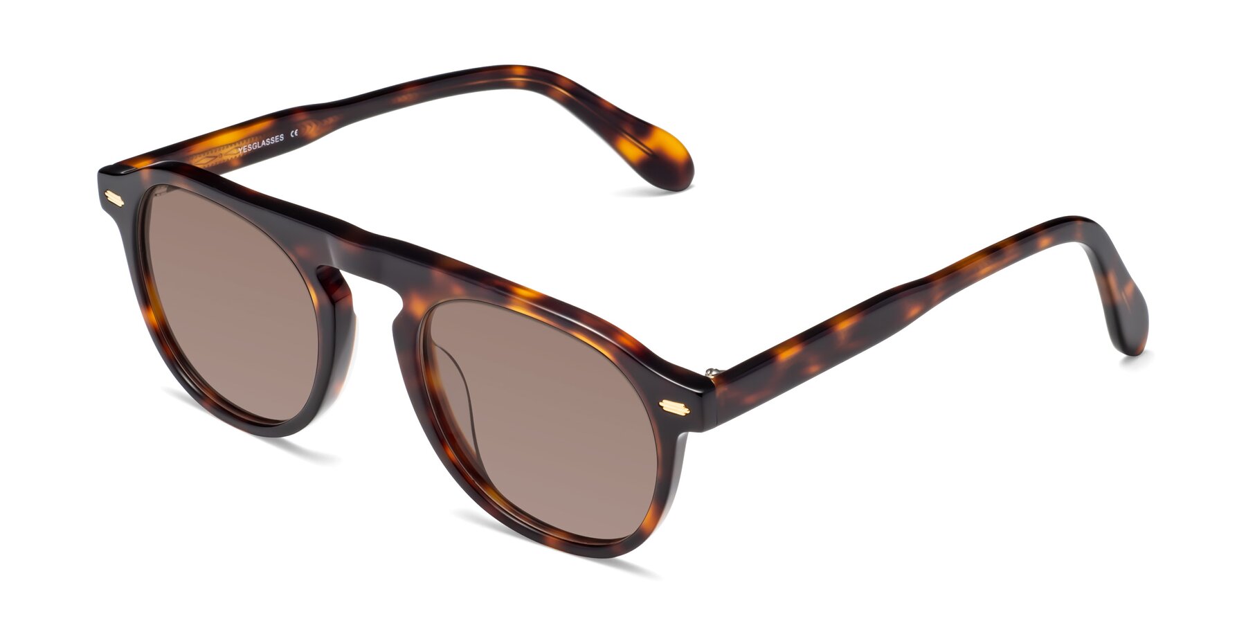 Angle of Mufasa in Tortoise with Medium Brown Tinted Lenses