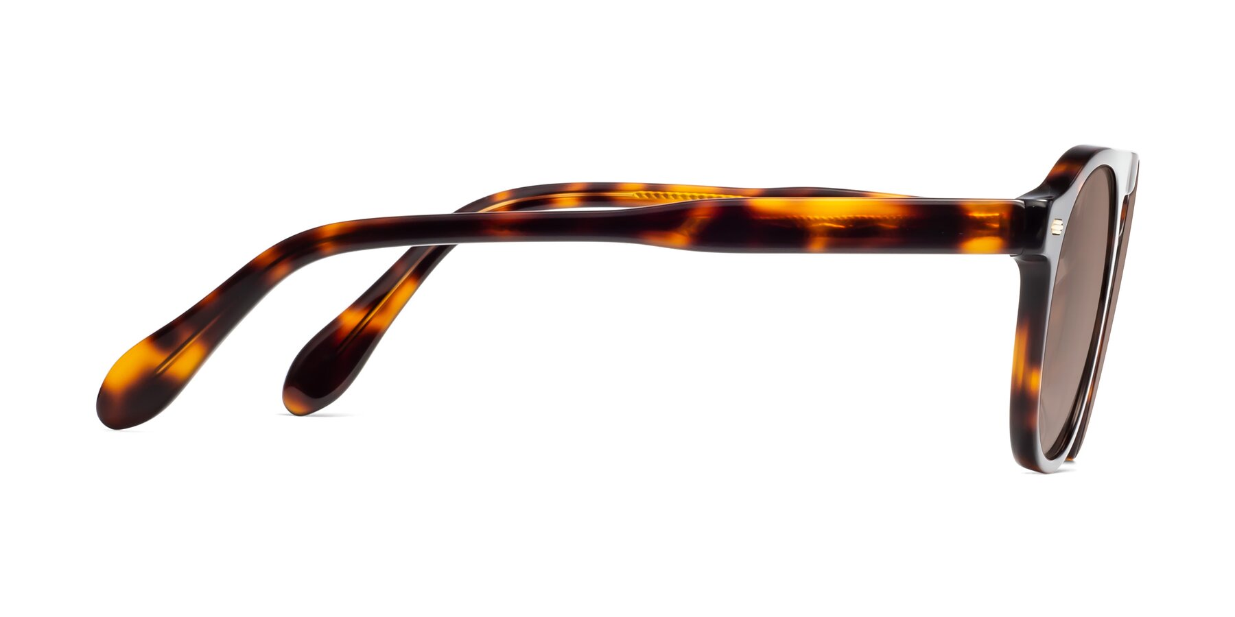 Side of Mufasa in Tortoise with Medium Brown Tinted Lenses