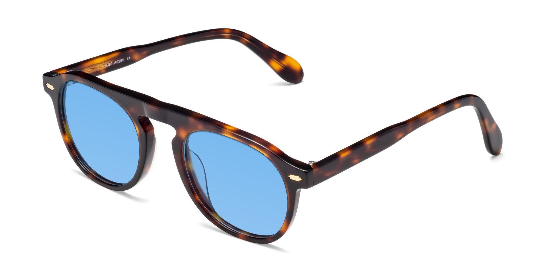 Angle of Mufasa in Tortoise with Medium Blue Tinted Lenses