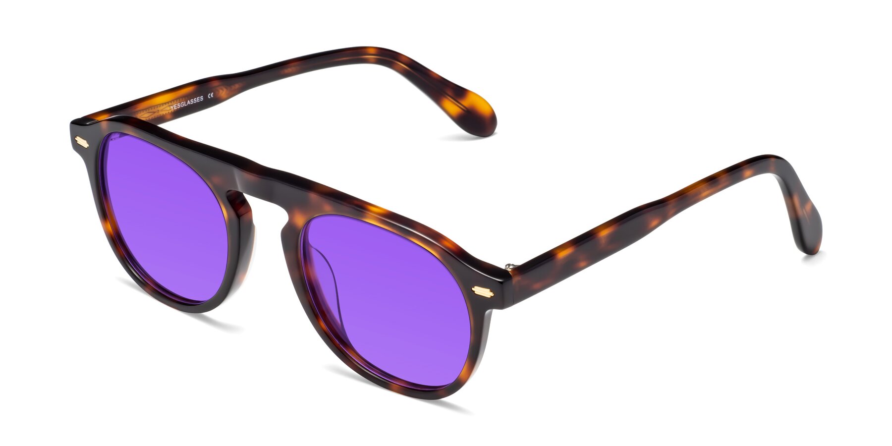 Angle of Mufasa in Tortoise with Purple Tinted Lenses
