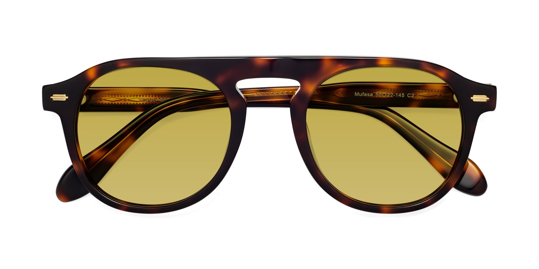 Folded Front of Mufasa in Tortoise with Champagne Tinted Lenses