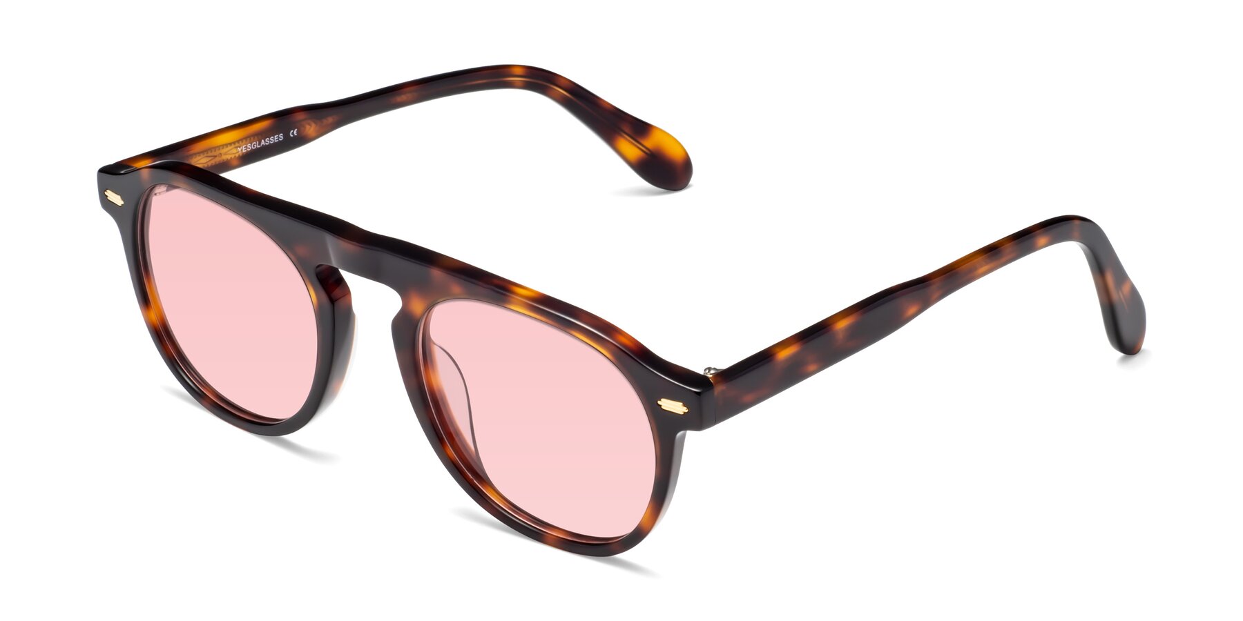 Angle of Mufasa in Tortoise with Light Garnet Tinted Lenses