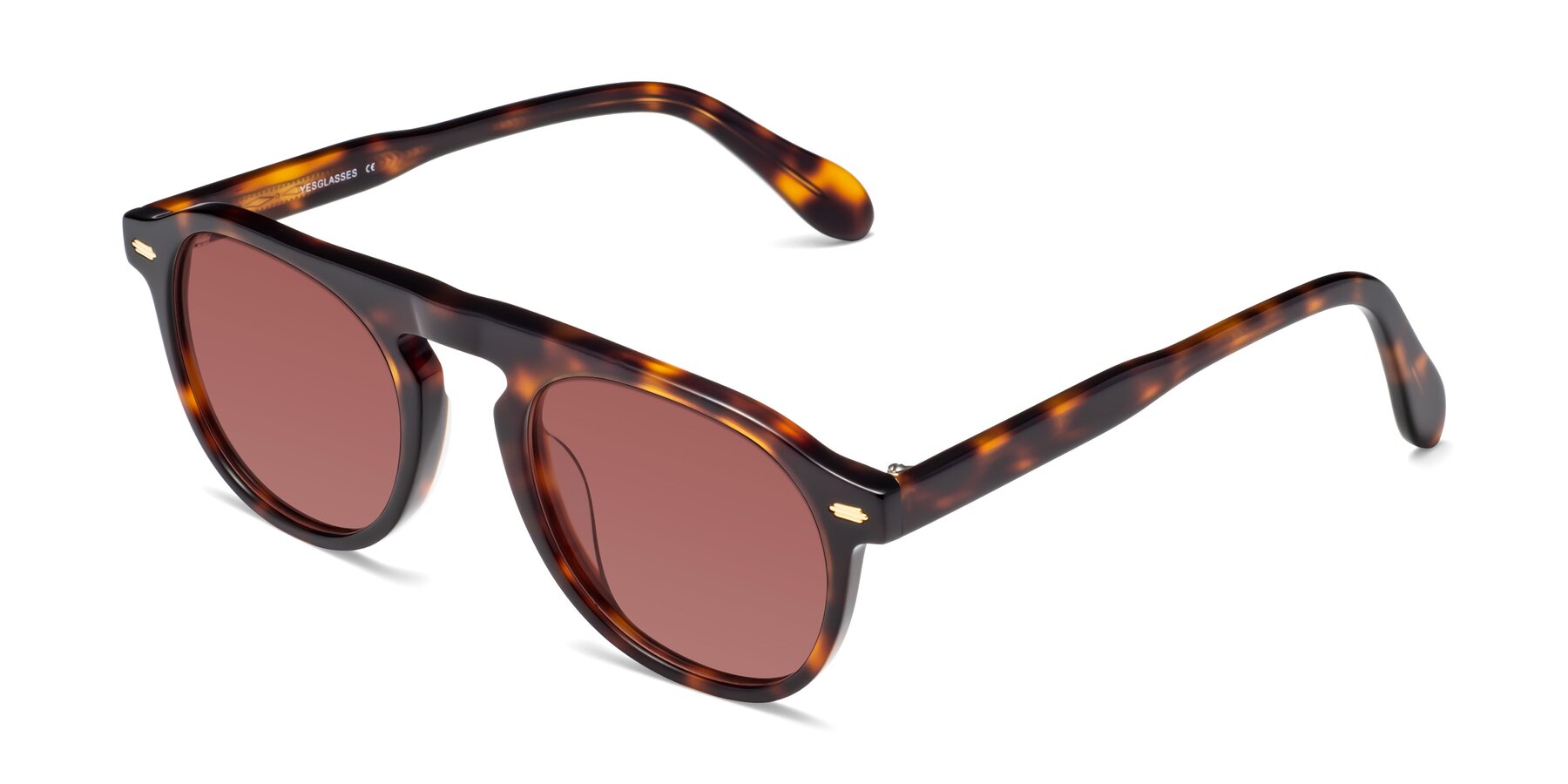 Angle of Mufasa in Tortoise with Garnet Tinted Lenses