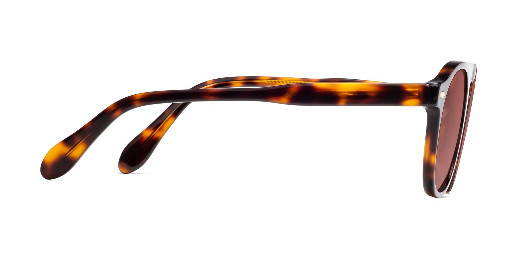 Side of Mufasa in Tortoise with Garnet Tinted Lenses