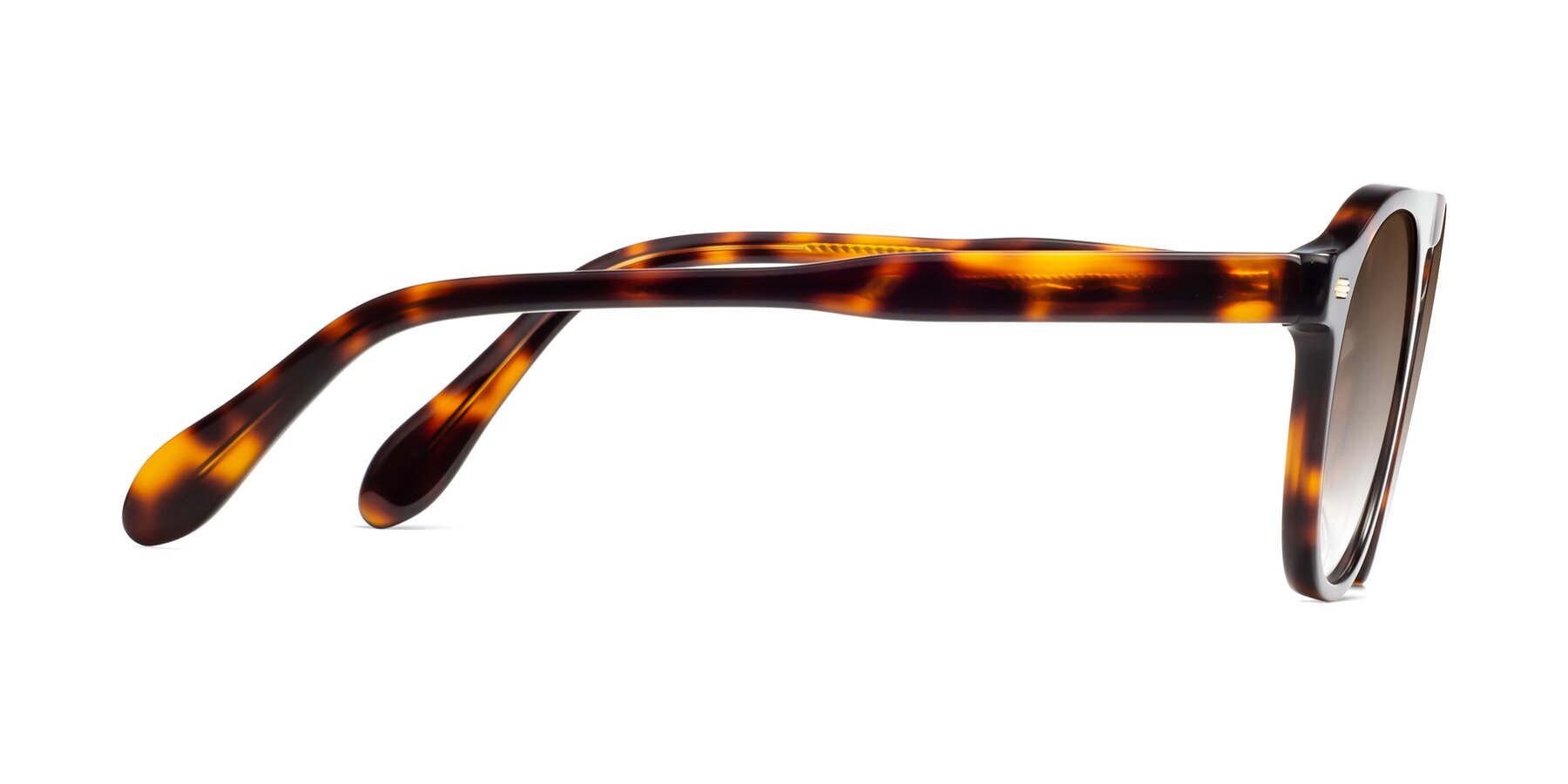 Side of Mufasa in Tortoise with Brown Gradient Lenses