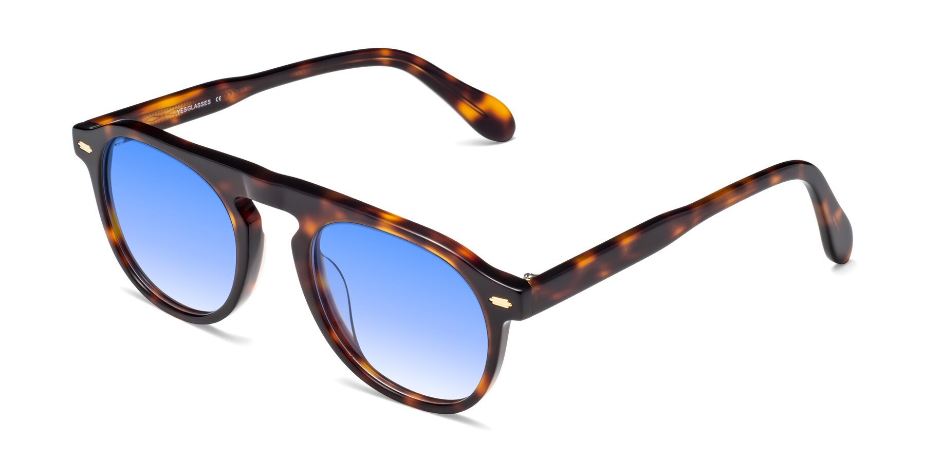 Angle of Mufasa in Tortoise with Blue Gradient Lenses