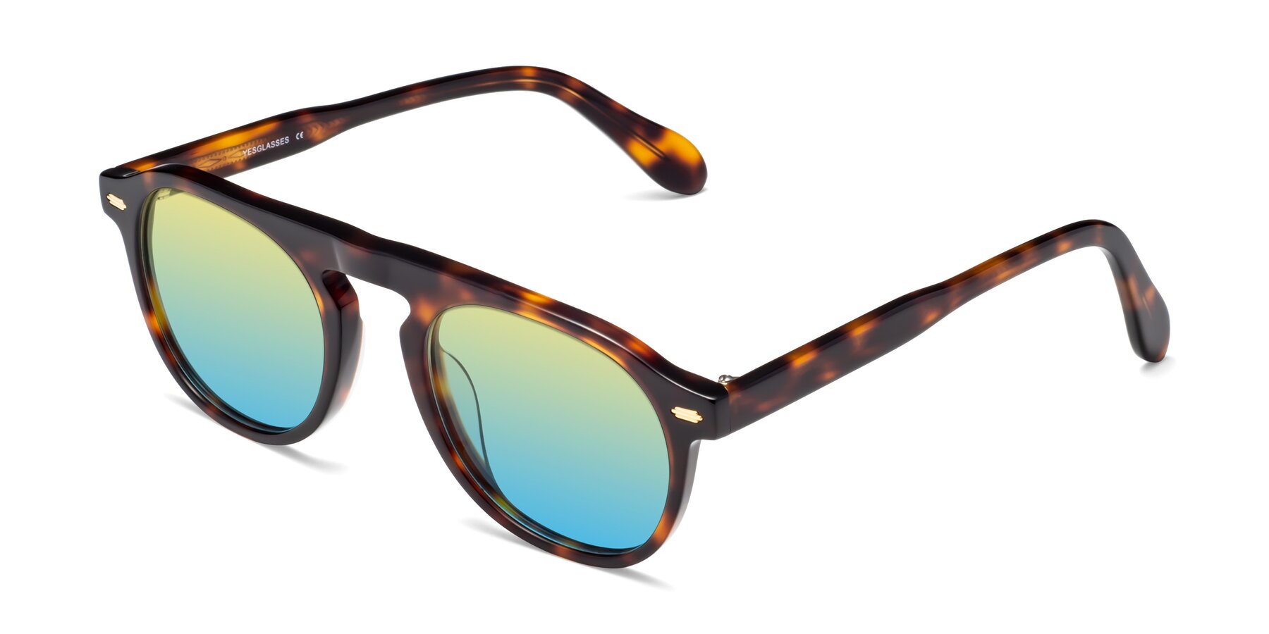 Angle of Mufasa in Tortoise with Yellow / Blue Gradient Lenses