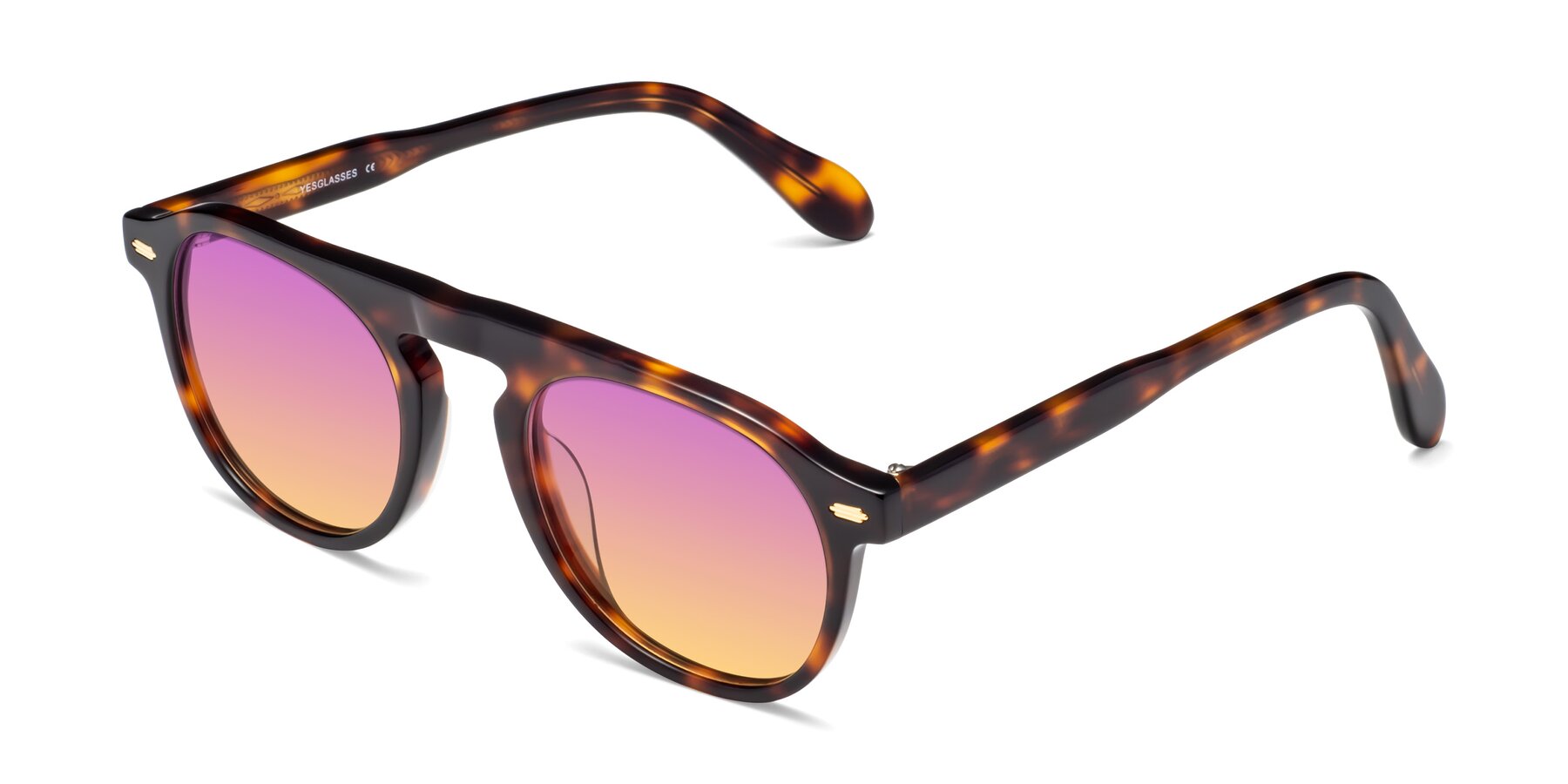 Angle of Mufasa in Tortoise with Purple / Yellow Gradient Lenses