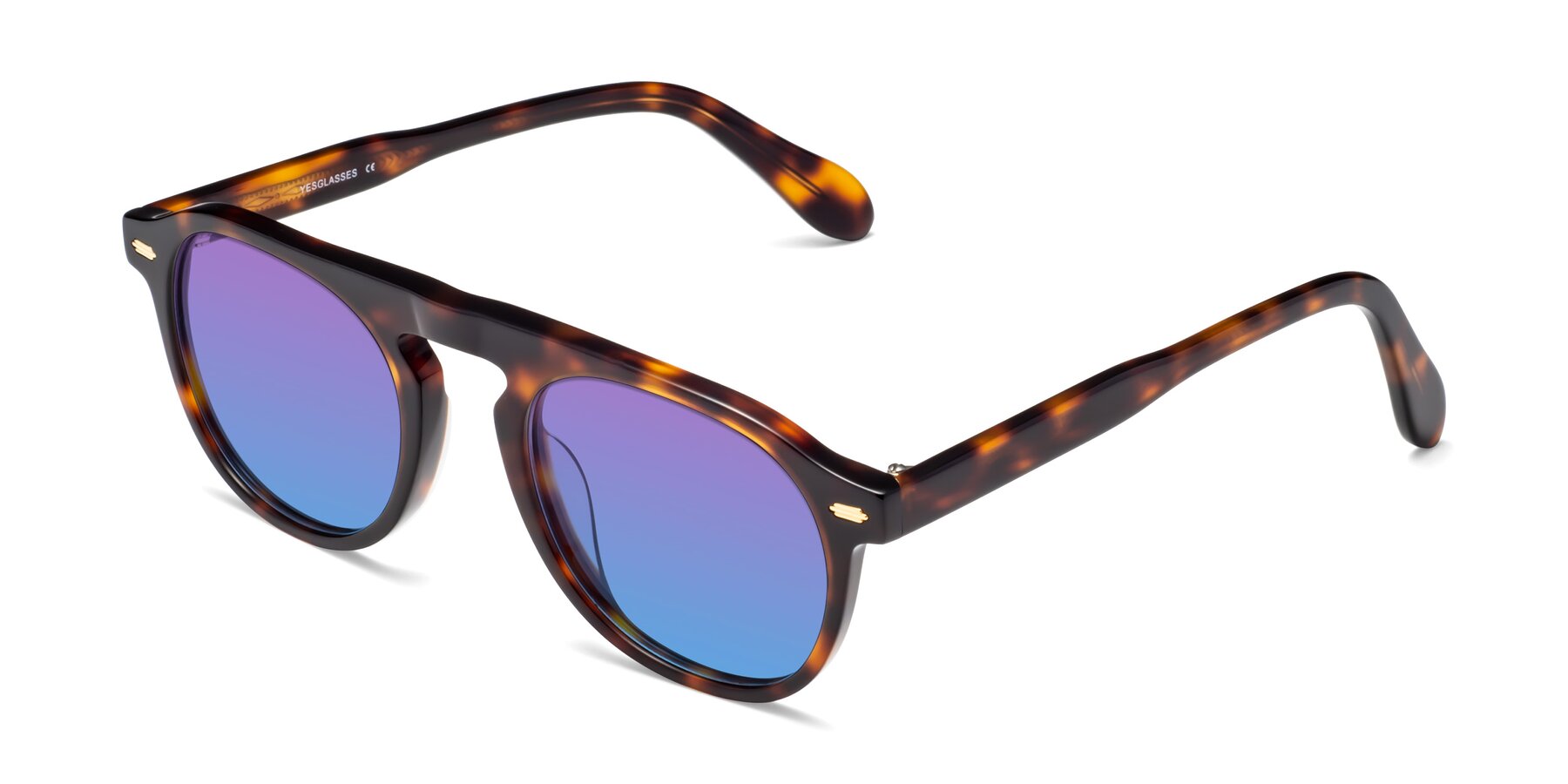 Angle of Mufasa in Tortoise with Purple / Blue Gradient Lenses