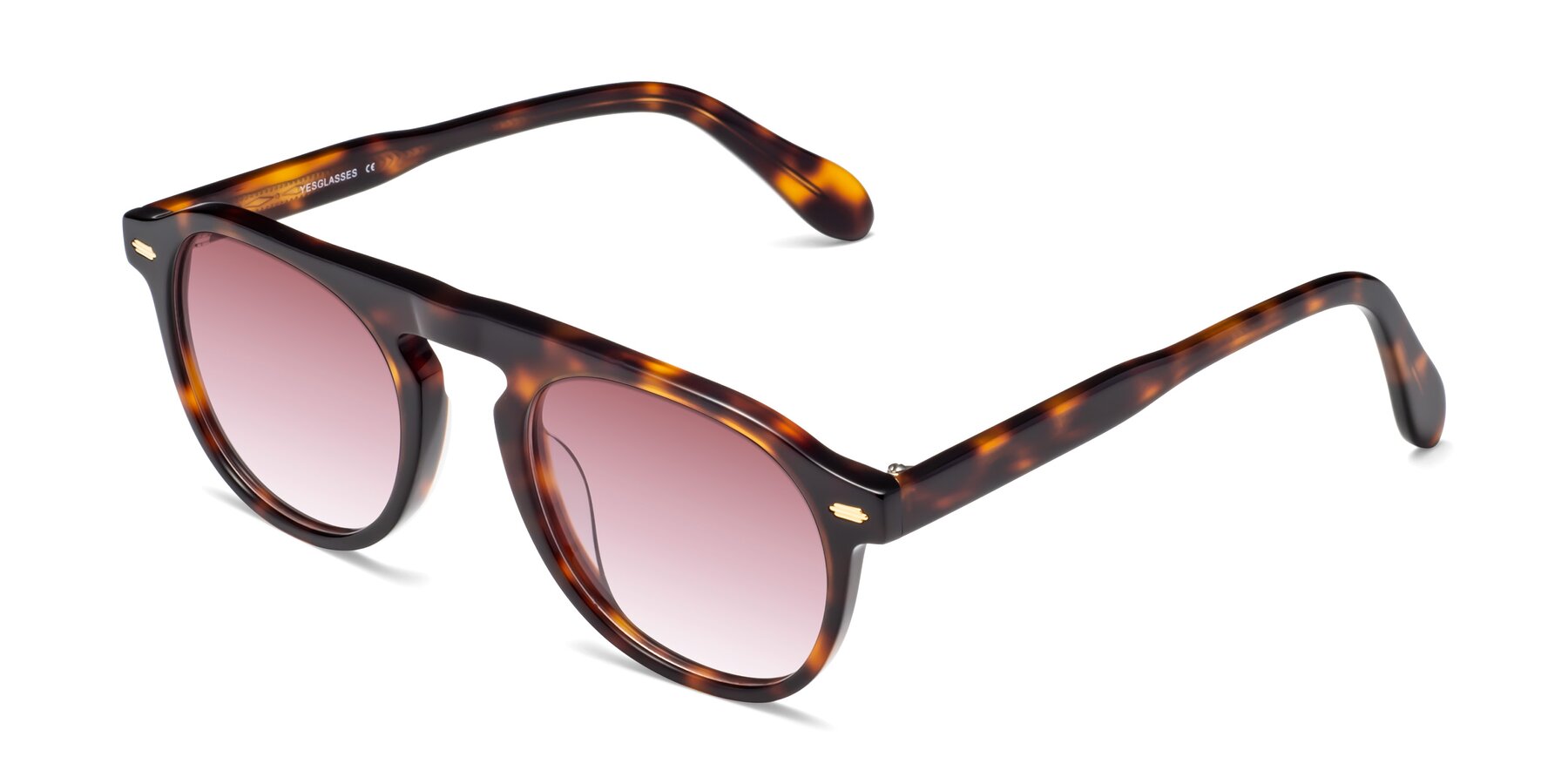 Angle of Mufasa in Tortoise with Garnet Gradient Lenses