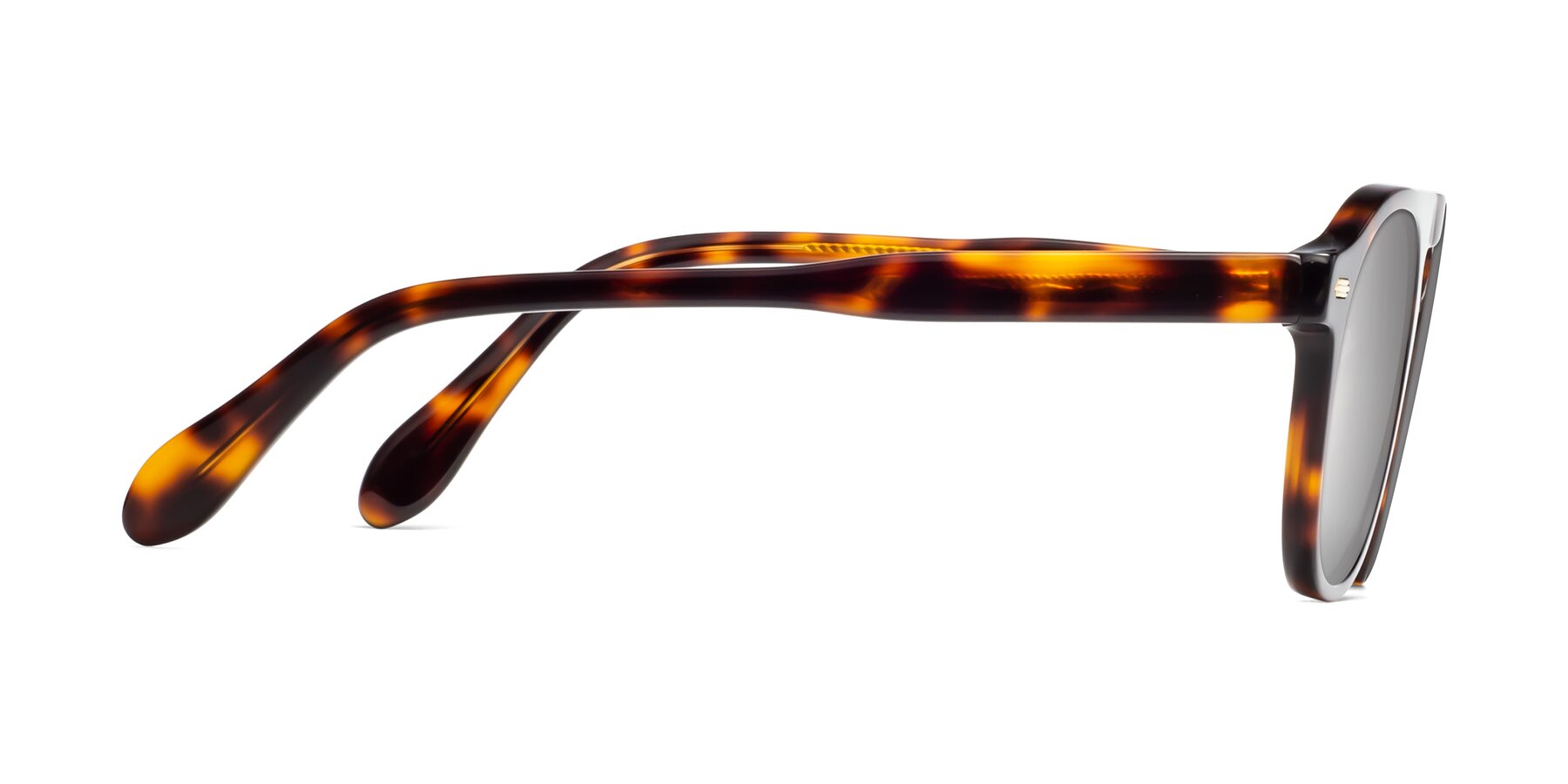 Side of Mufasa in Tortoise with Silver Mirrored Lenses