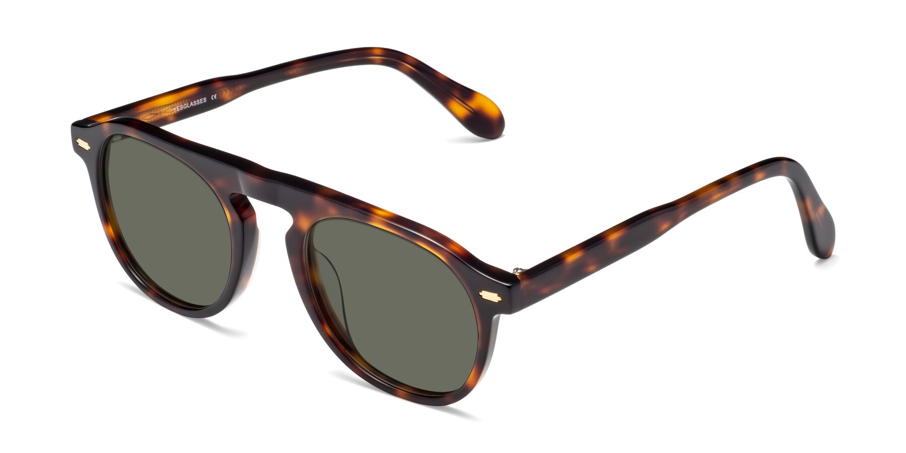 Angle of Mufasa in Tortoise with Gray Polarized Lenses