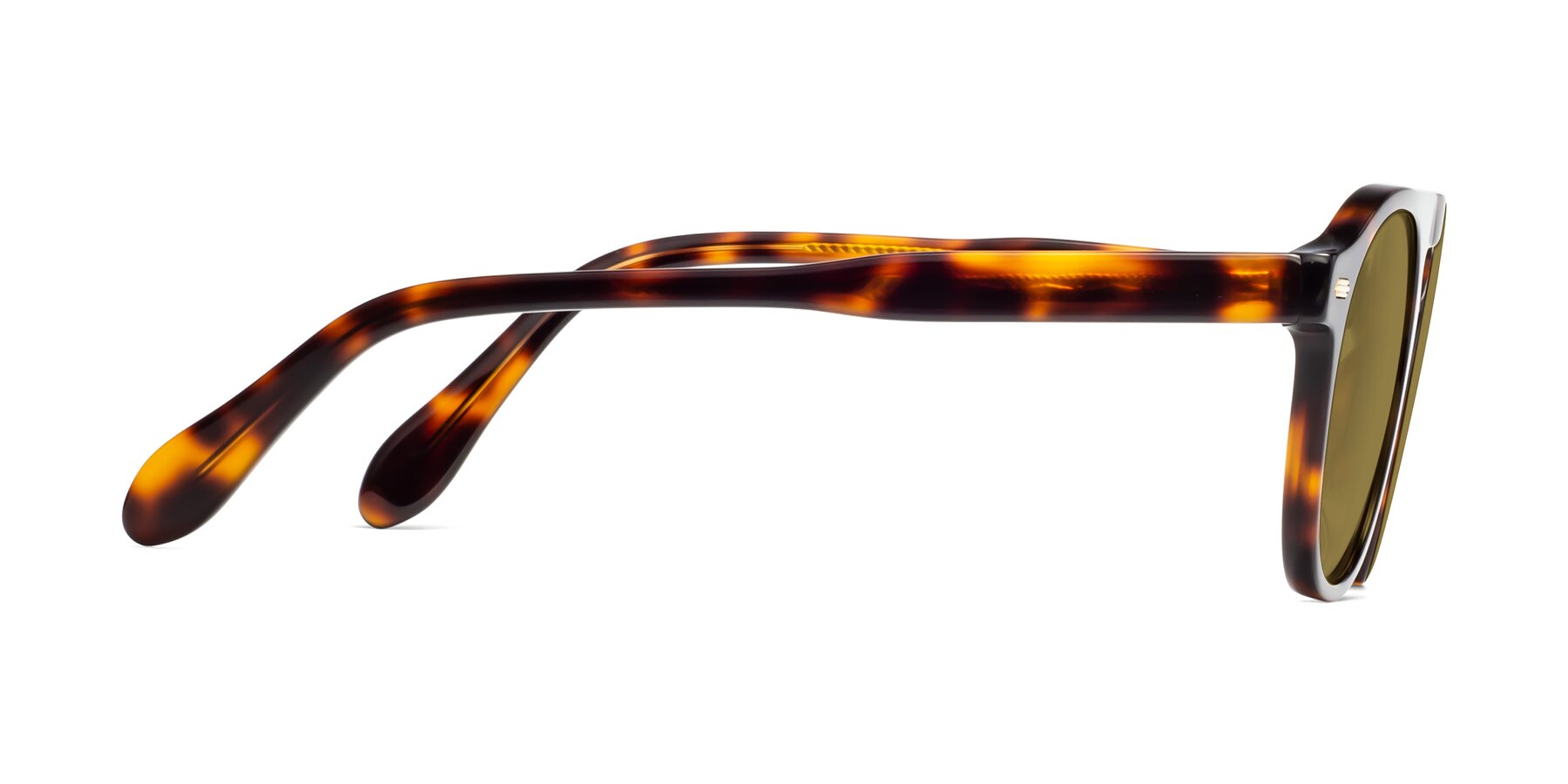 Side of Mufasa in Tortoise with Brown Polarized Lenses