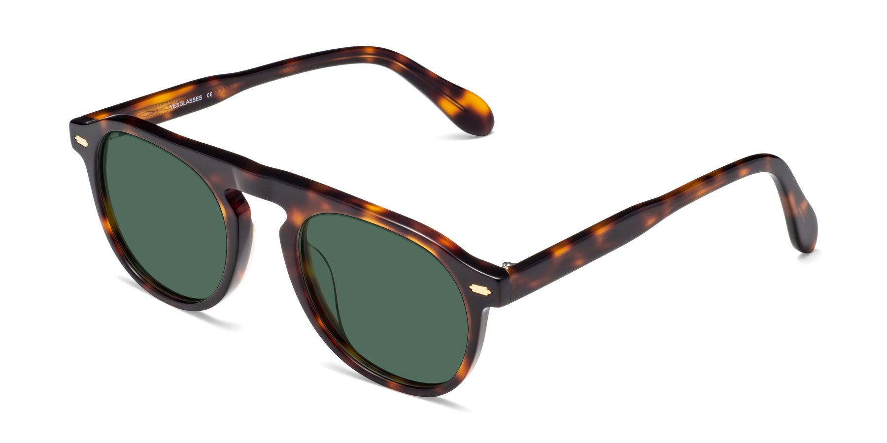 Angle of Mufasa in Tortoise with Green Polarized Lenses
