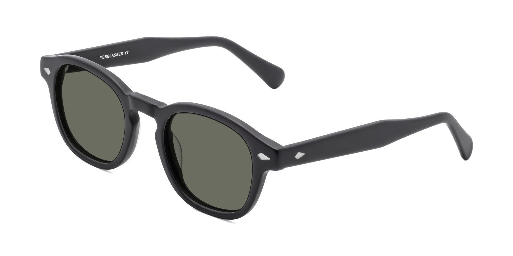 Angle of WALL-E in Matte Black with Gray Polarized Lenses