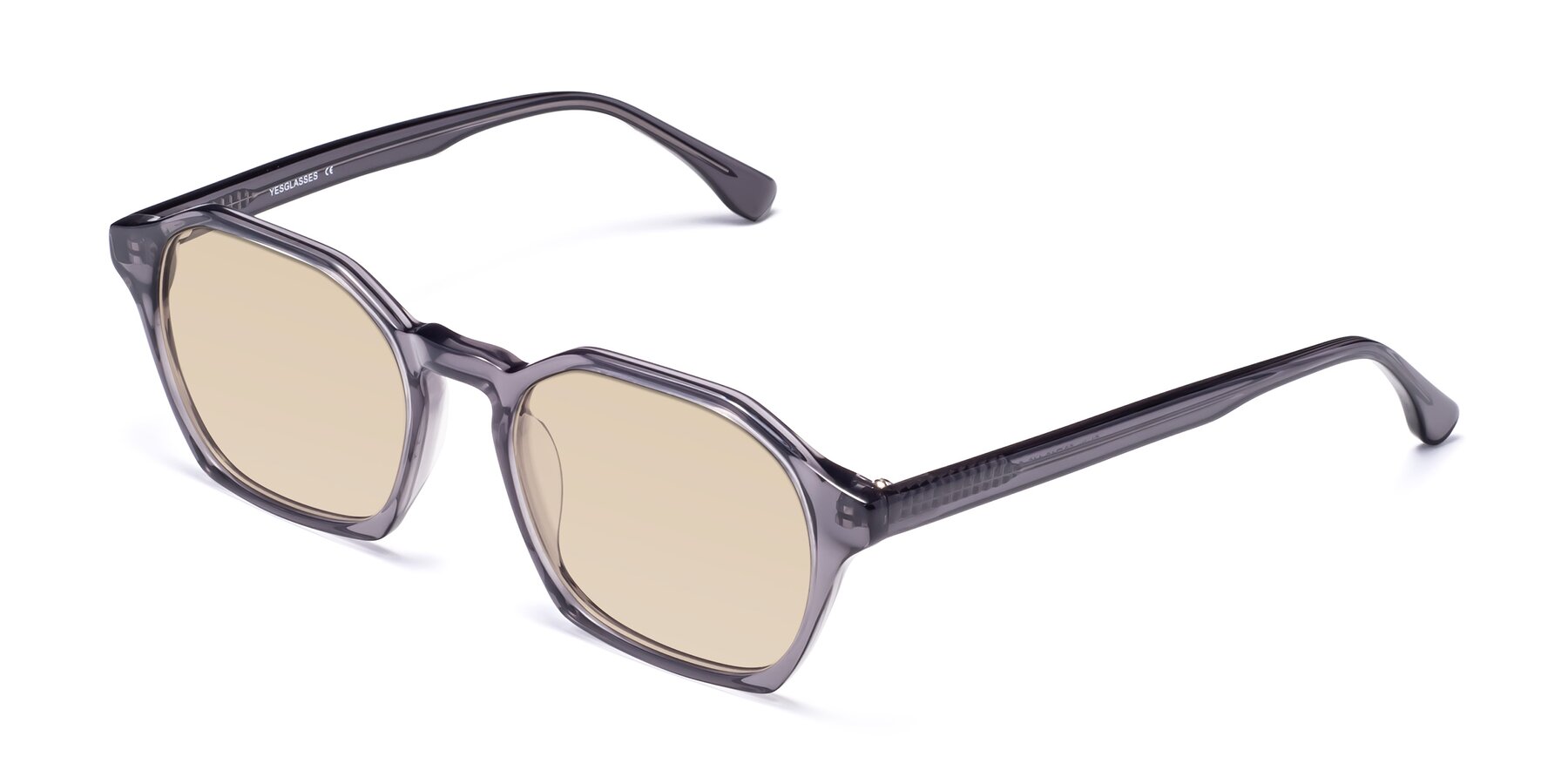 Angle of Stoltz in Translucent Gray with Light Brown Tinted Lenses