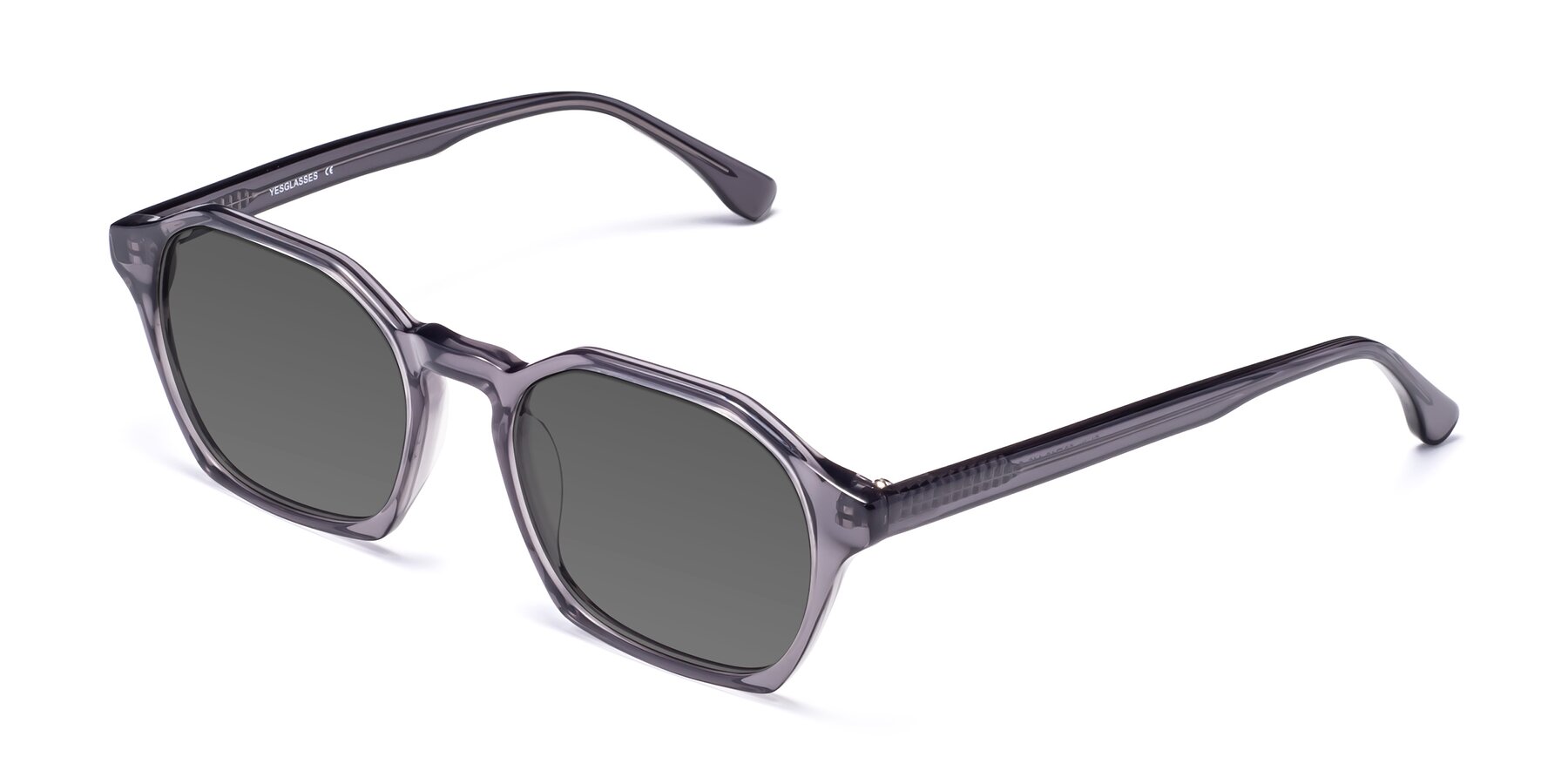 Angle of Stoltz in Translucent Gray with Medium Gray Tinted Lenses