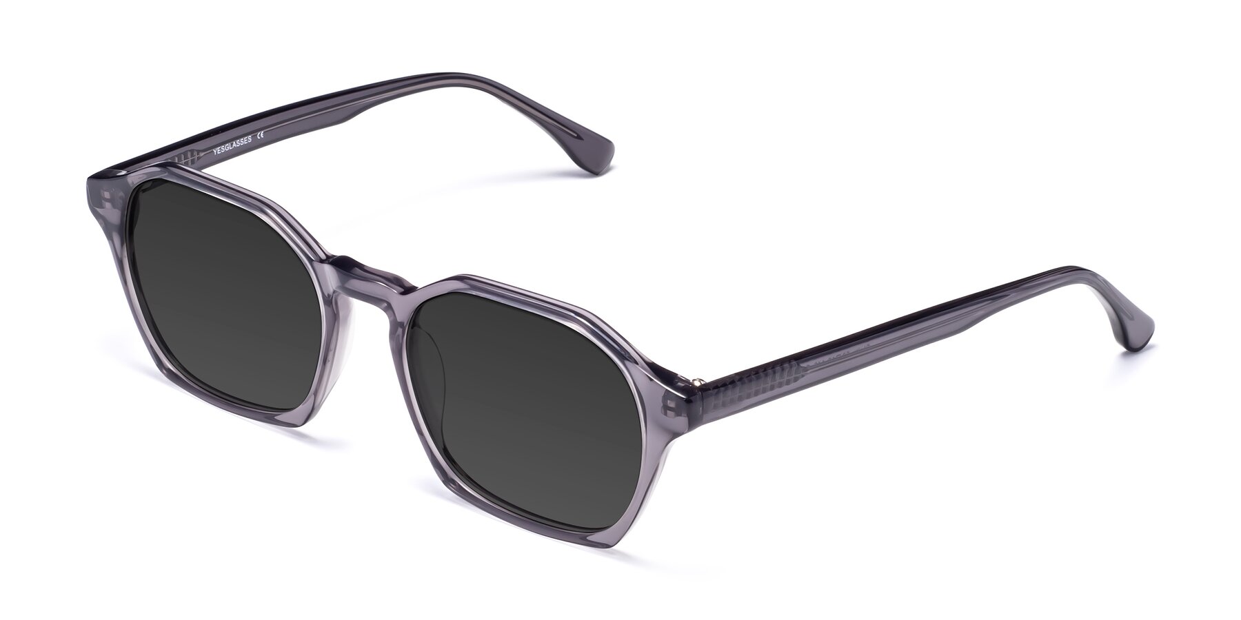 Angle of Stoltz in Translucent Gray with Gray Tinted Lenses