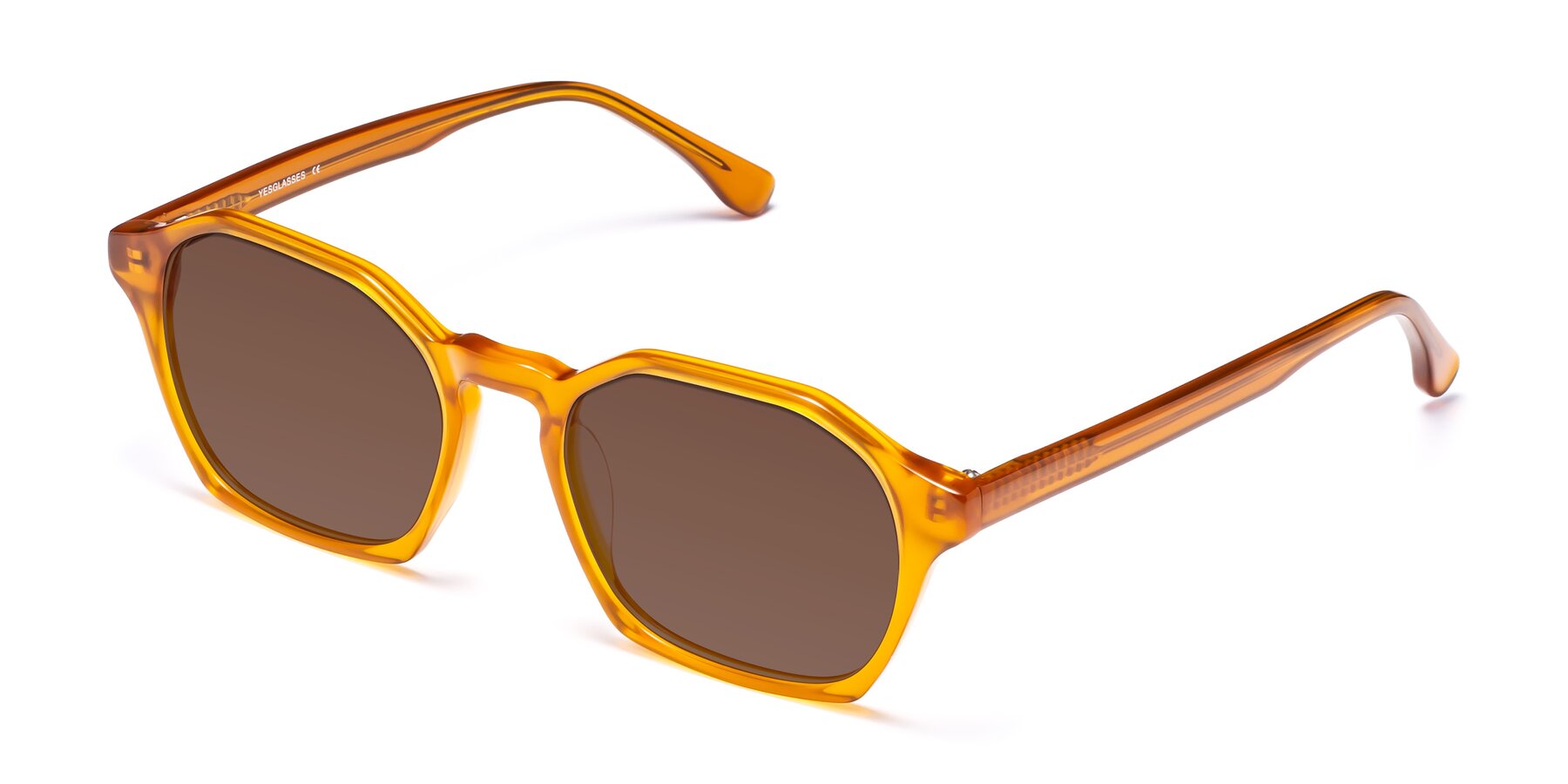 Angle of Stoltz in Brown with Brown Tinted Lenses