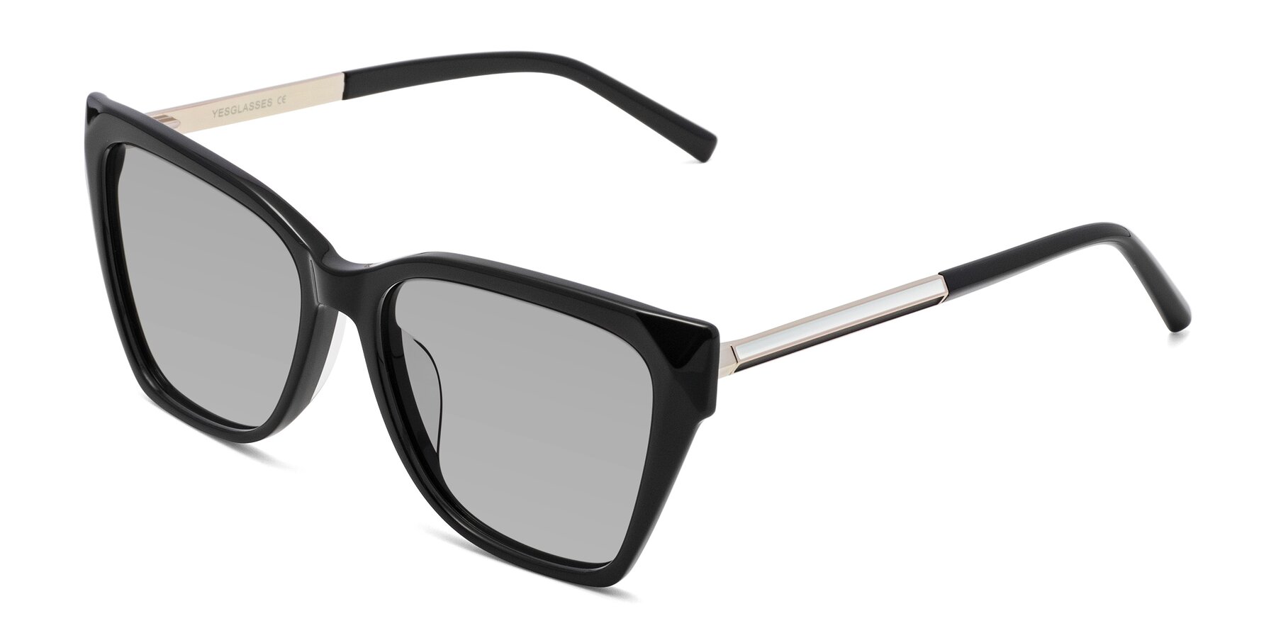 Angle of Swartz in Black with Light Gray Tinted Lenses