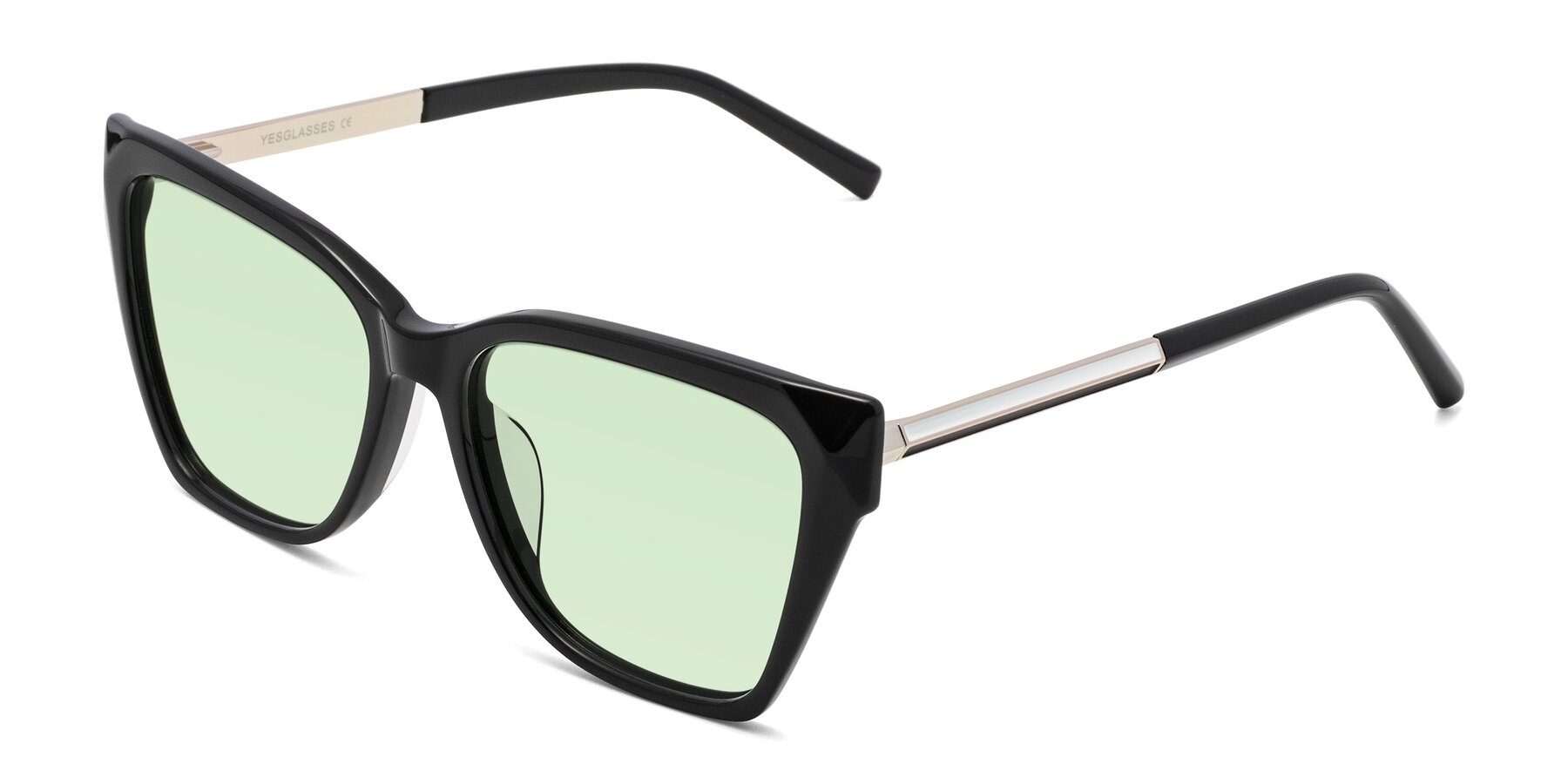 Angle of Swartz in Black with Light Green Tinted Lenses