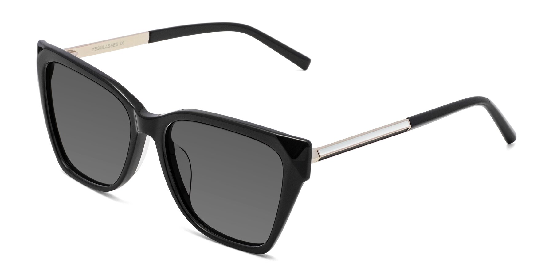 Angle of Swartz in Black with Medium Gray Tinted Lenses