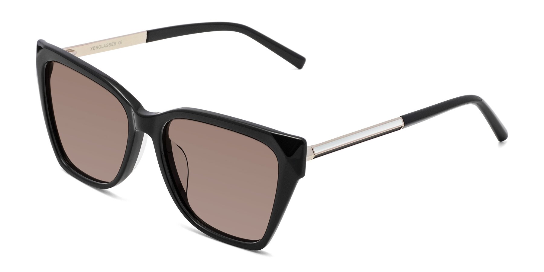 Angle of Swartz in Black with Medium Brown Tinted Lenses