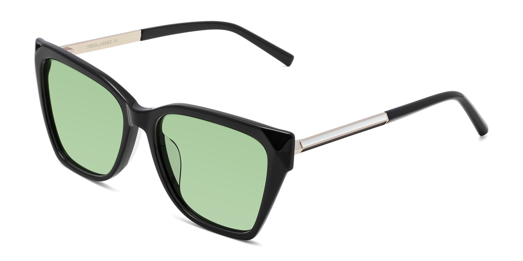 Angle of Swartz in Black with Medium Green Tinted Lenses
