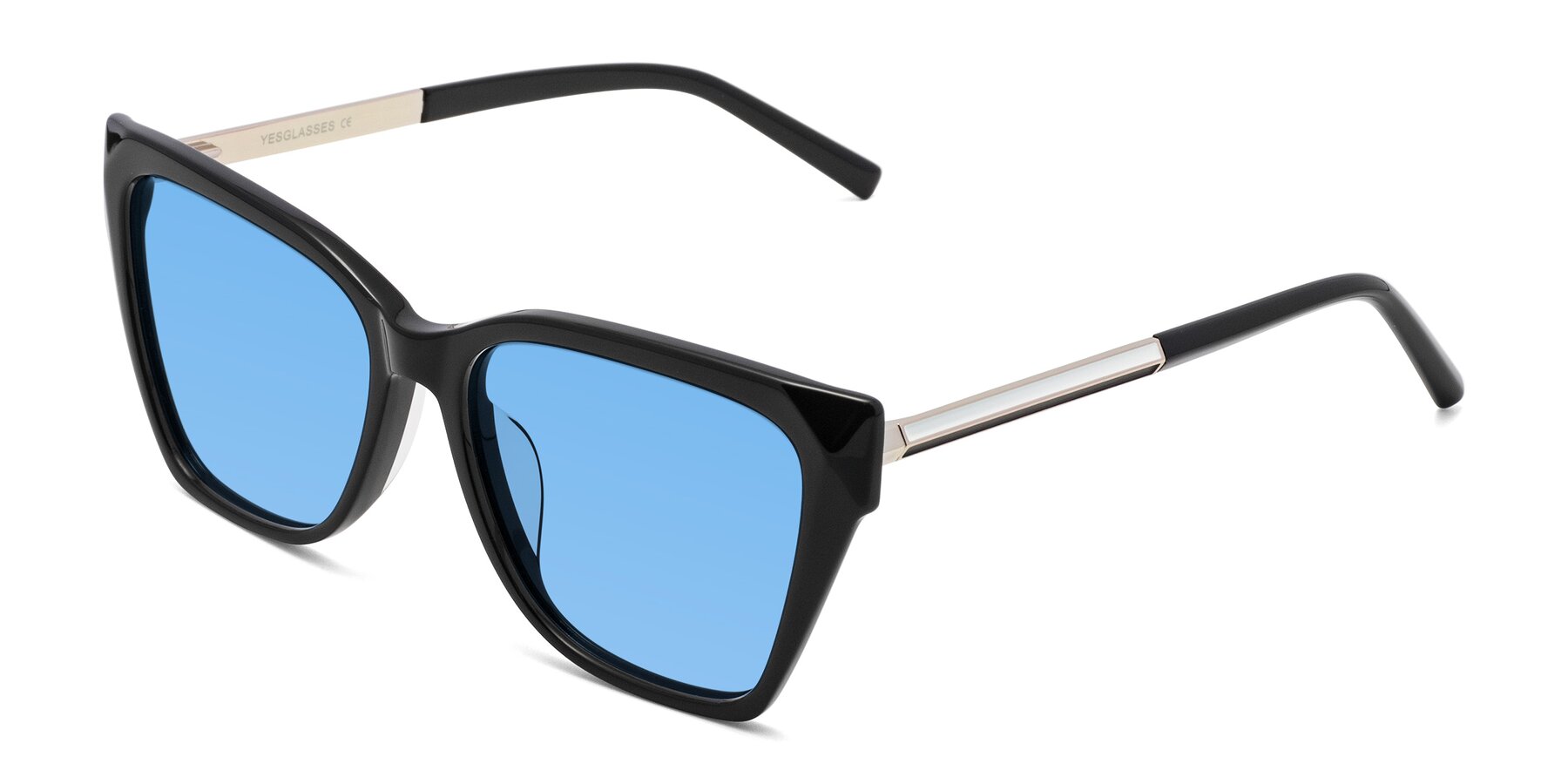 Angle of Swartz in Black with Medium Blue Tinted Lenses