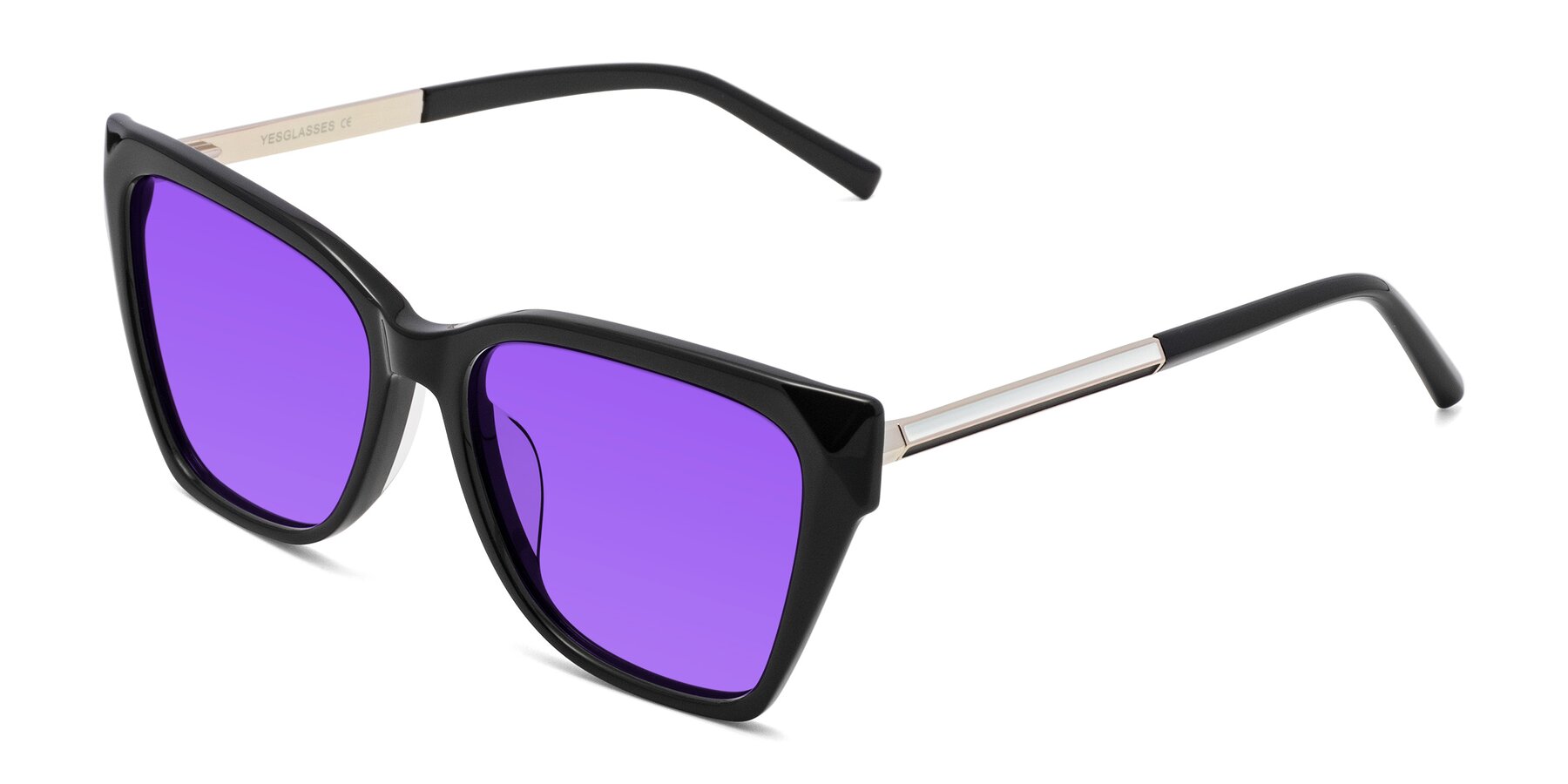 Angle of Swartz in Black with Purple Tinted Lenses