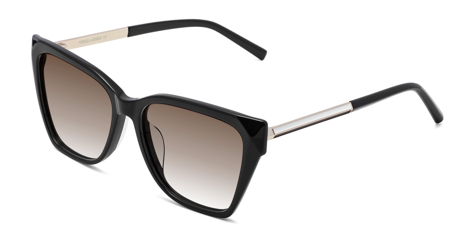 Angle of Swartz in Black with Brown Gradient Lenses