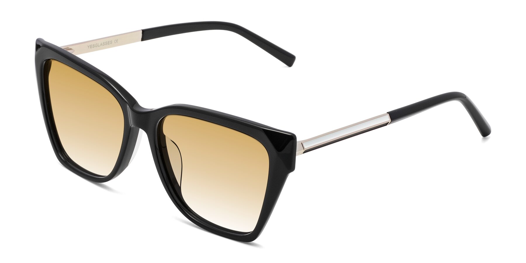 Angle of Swartz in Black with Champagne Gradient Lenses