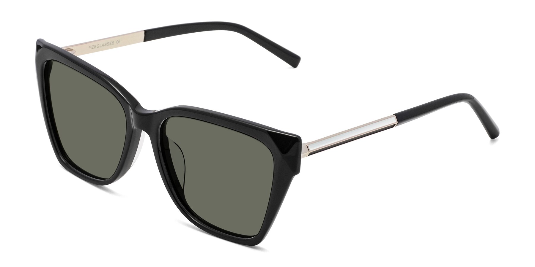 Angle of Swartz in Black with Gray Polarized Lenses
