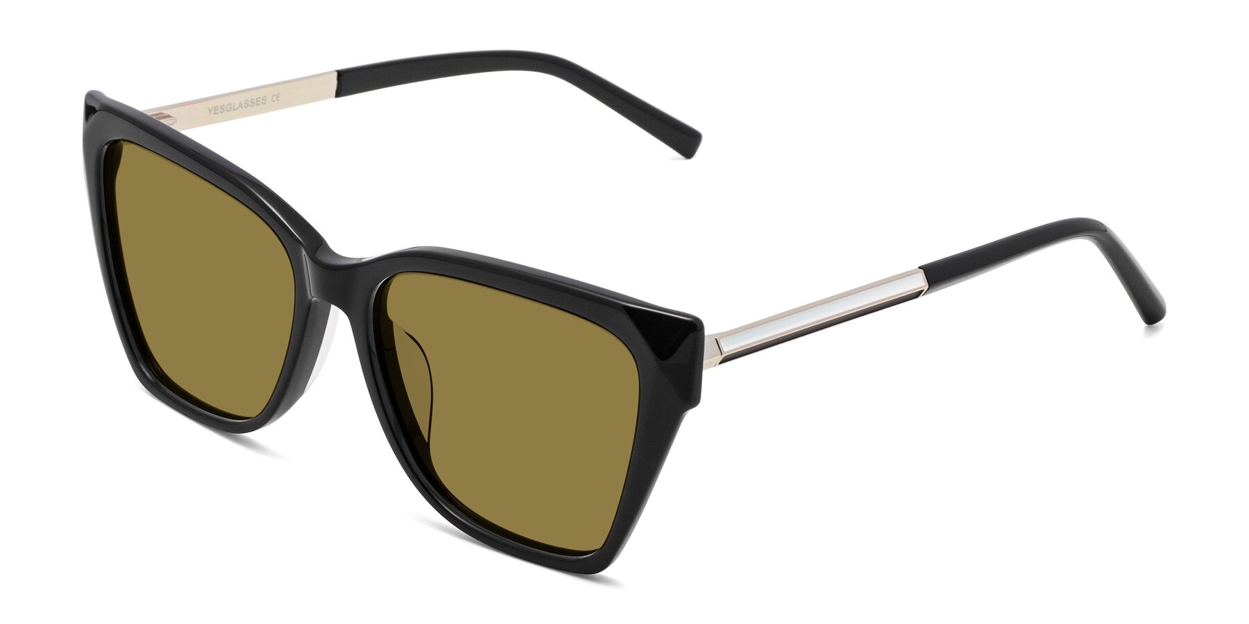 Angle of Swartz in Black with Brown Polarized Lenses
