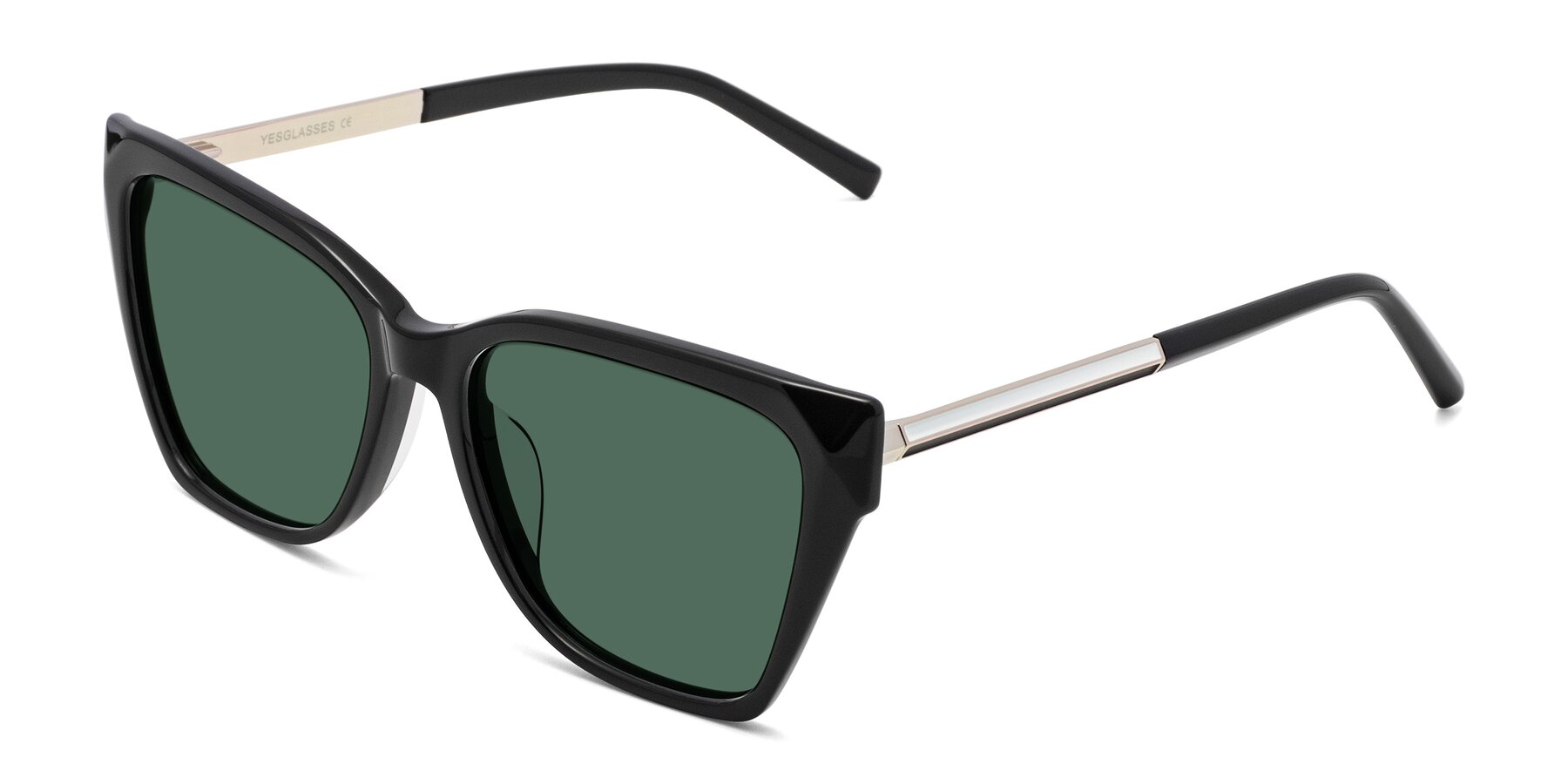 Angle of Swartz in Black with Green Polarized Lenses