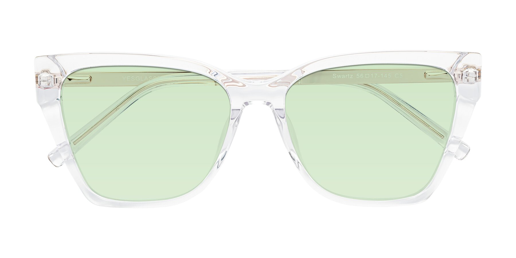 Folded Front of Swartz in Clear with Light Green Tinted Lenses