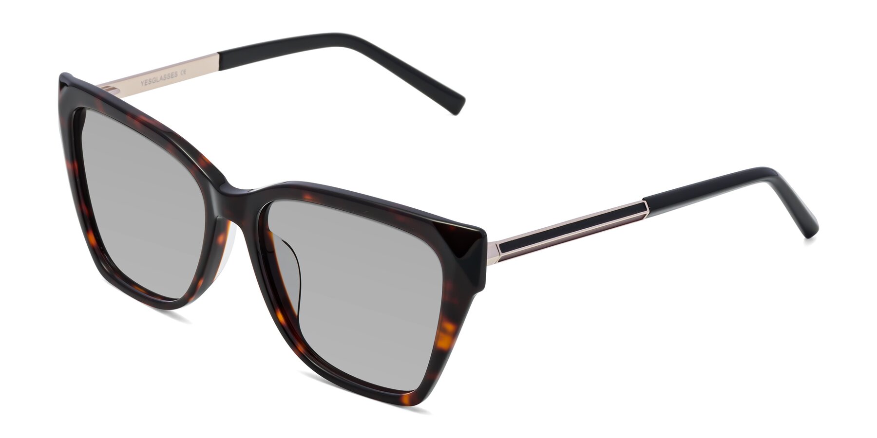 Angle of Swartz in Tortoise with Light Gray Tinted Lenses