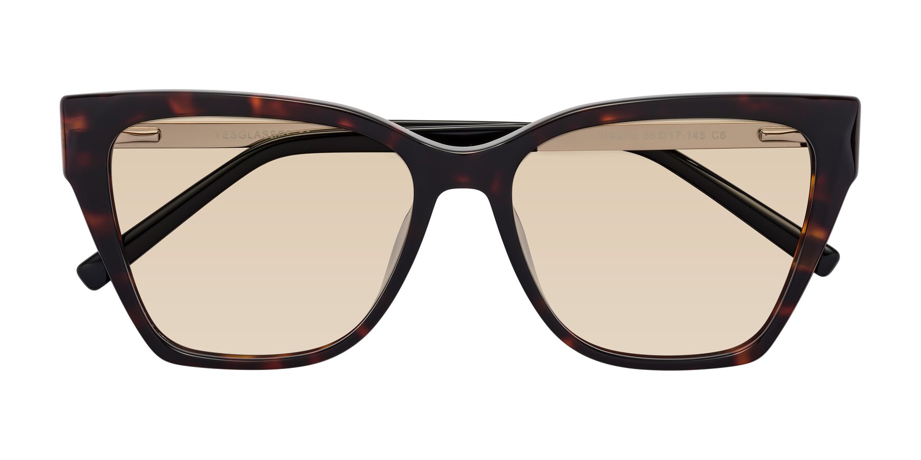 Folded Front of Swartz in Tortoise with Light Brown Tinted Lenses