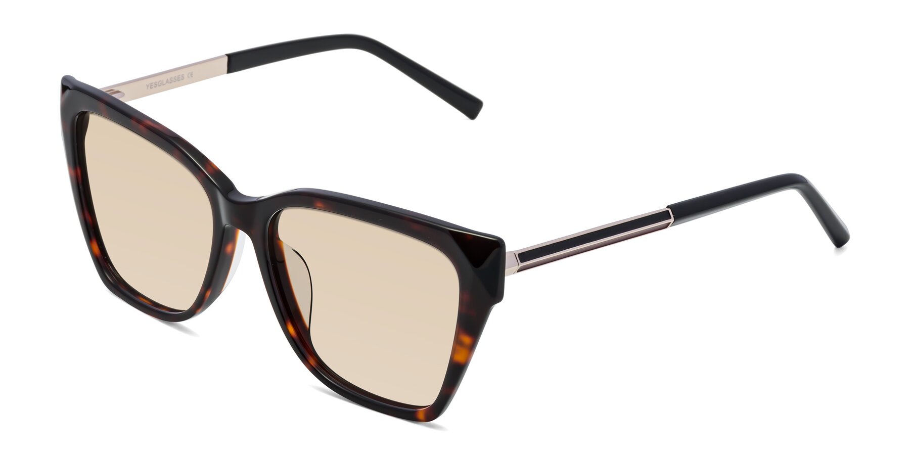 Angle of Swartz in Tortoise with Light Brown Tinted Lenses
