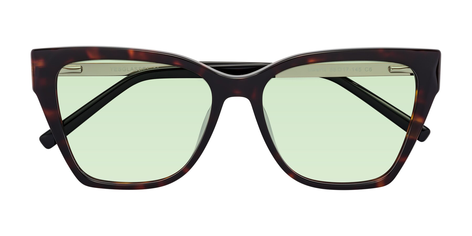 Folded Front of Swartz in Tortoise with Light Green Tinted Lenses