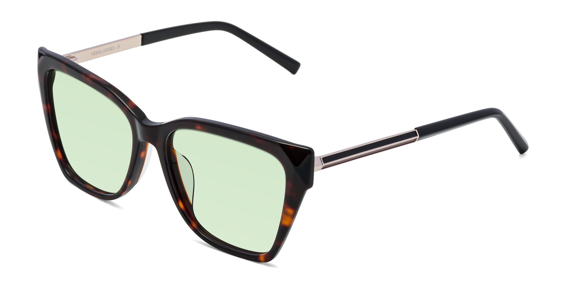 Angle of Swartz in Tortoise with Light Green Tinted Lenses