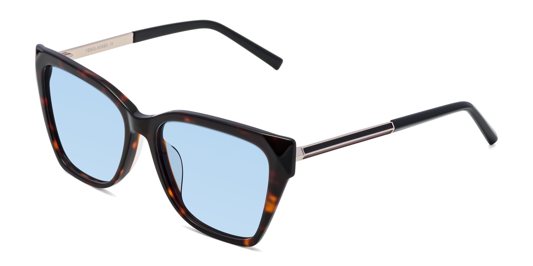 Angle of Swartz in Tortoise with Light Blue Tinted Lenses