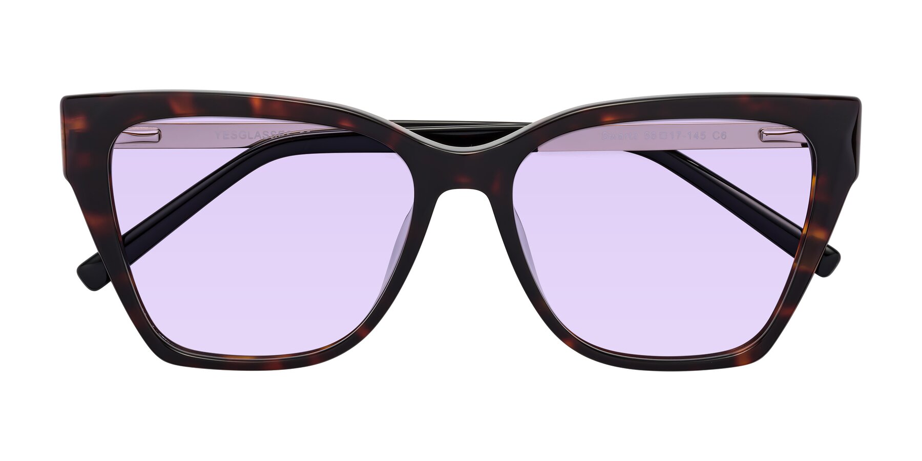 Folded Front of Swartz in Tortoise with Light Purple Tinted Lenses