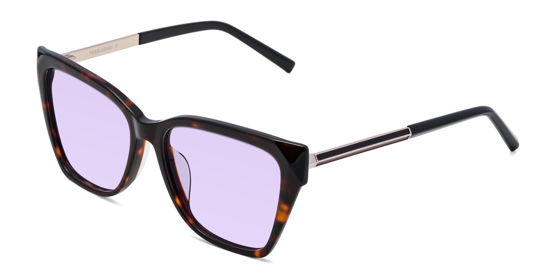 Angle of Swartz in Tortoise with Light Purple Tinted Lenses