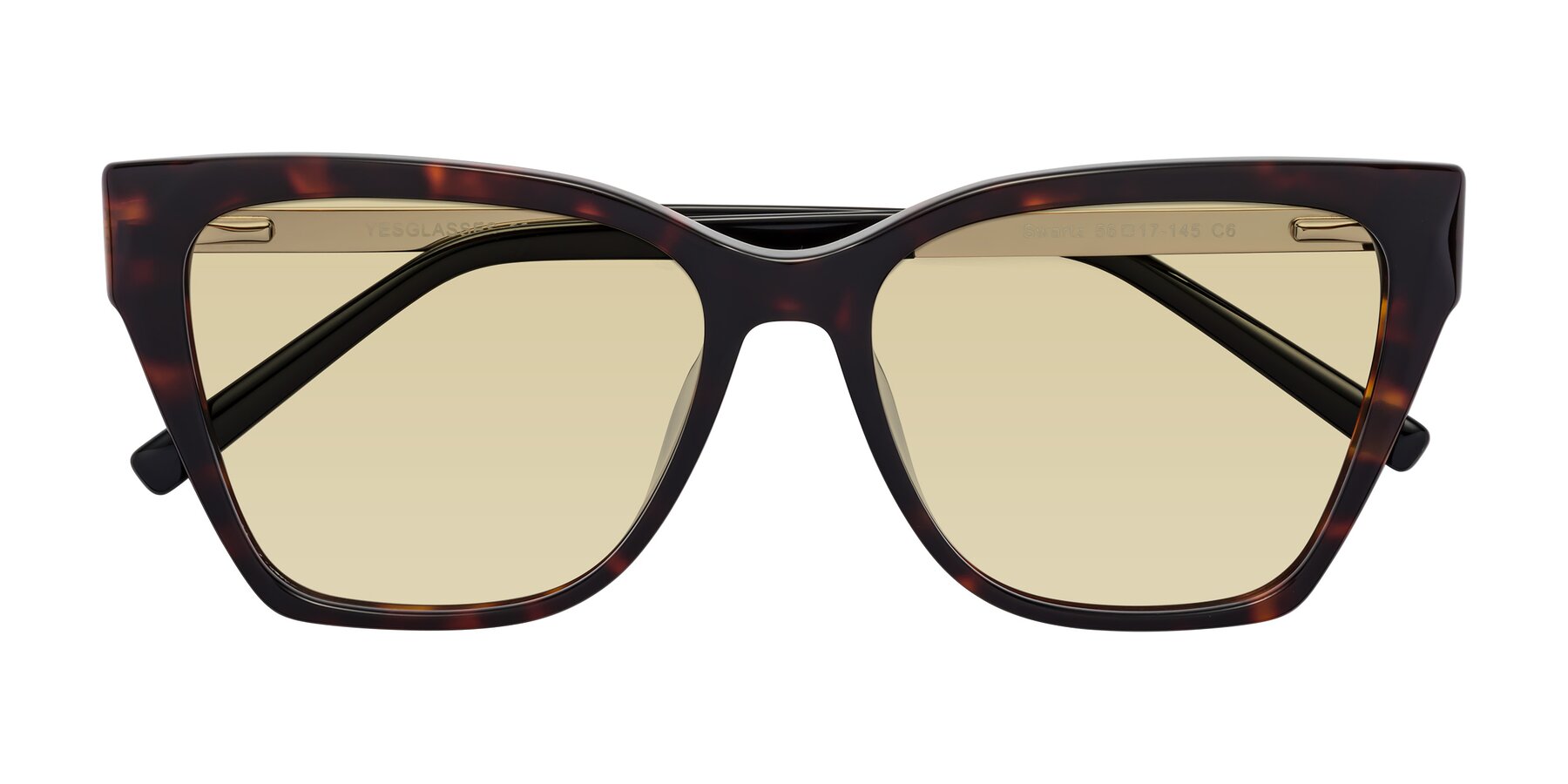 Folded Front of Swartz in Tortoise with Light Champagne Tinted Lenses