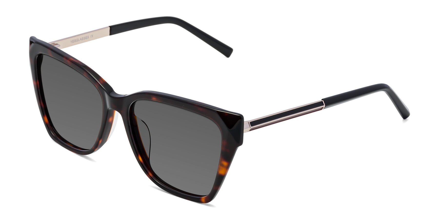 Angle of Swartz in Tortoise with Medium Gray Tinted Lenses