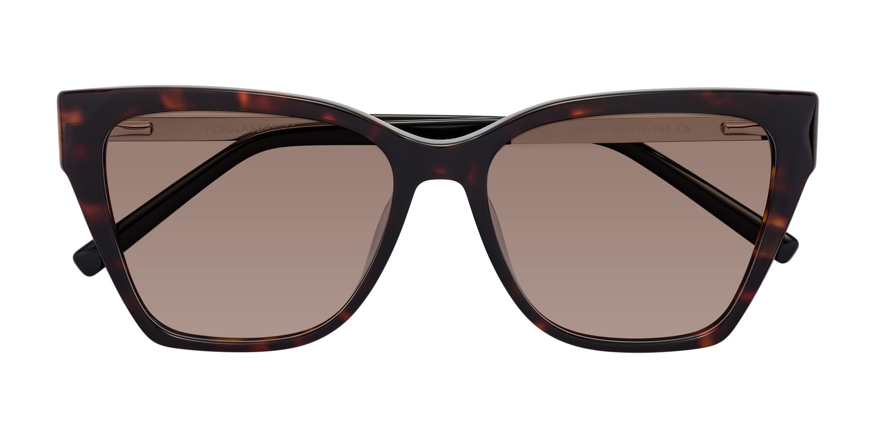 Folded Front of Swartz in Tortoise with Medium Brown Tinted Lenses