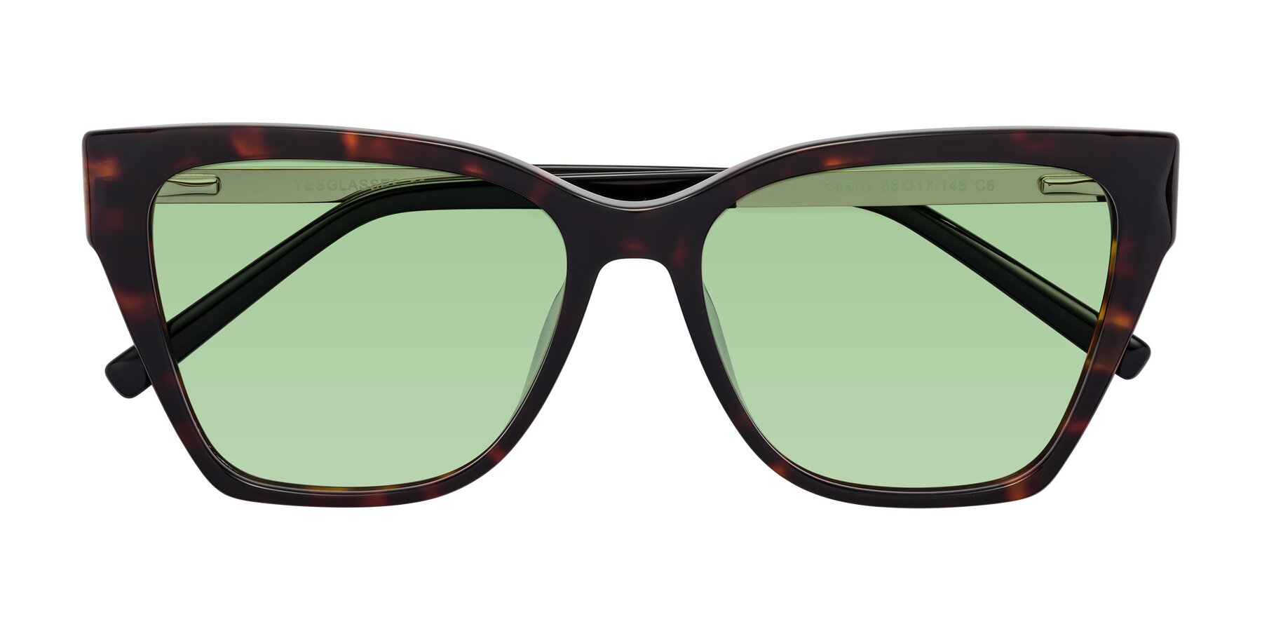 Folded Front of Swartz in Tortoise with Medium Green Tinted Lenses